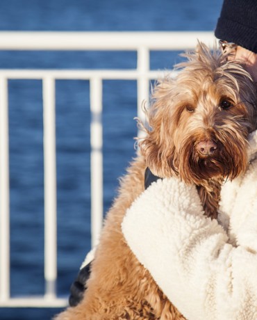 lady hugging her dog looking out from the deck of the boat