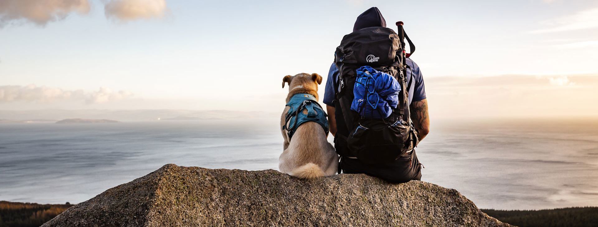 A hiker admiring views of Arran with their dog